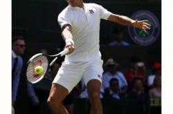 开云体育入口-棒球明星费德勒将晋级的简单介绍