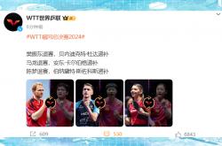 开云平台-足球赛事中国乒战胜对手成功退赛