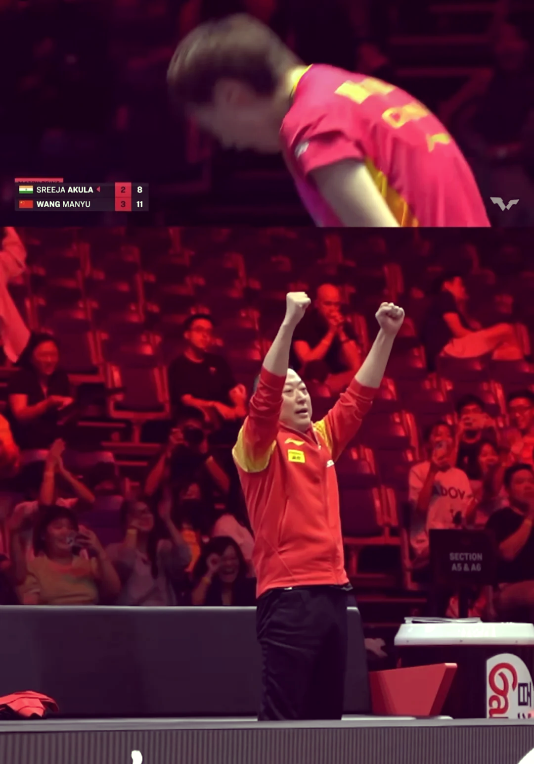 中国羽毛球队绝地反击泰国羽毛球队，马琳高光表现的简单介绍