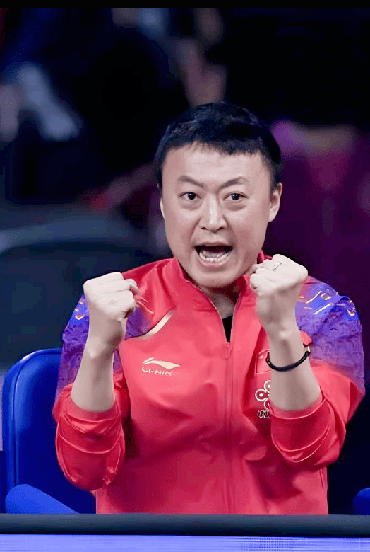 中国羽毛球队绝地反击泰国羽毛球队，马琳高光表现的简单介绍